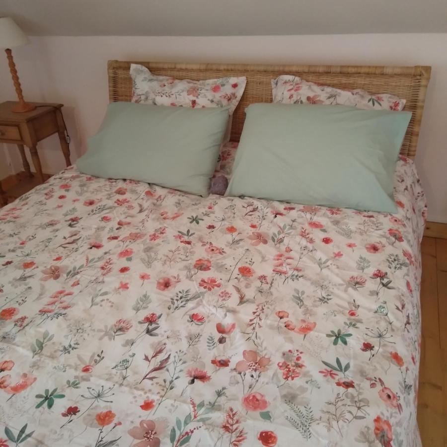 勒菲耶Les Dames De La Saugiat住宿加早餐旅馆 外观 照片